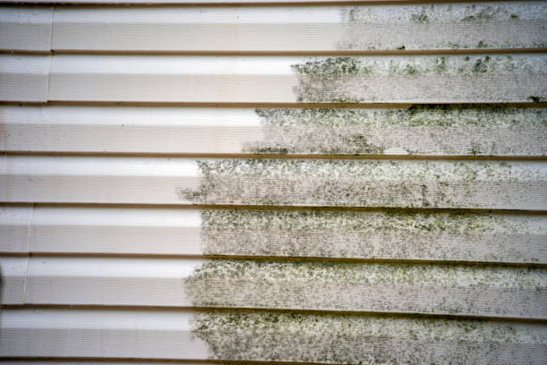 Best Attic Cleanout  in Appleton, WI